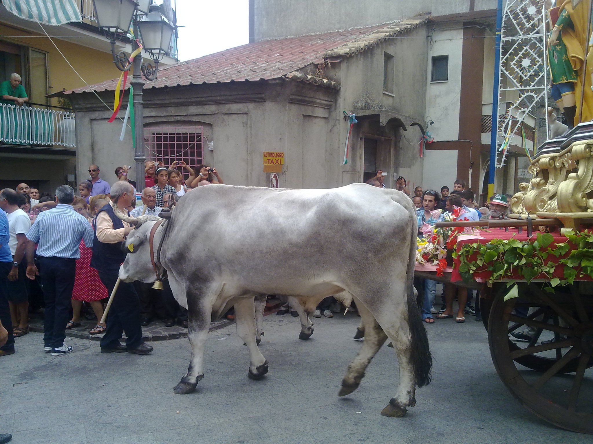 processione